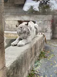 東武動物公園に投稿された画像（2020/11/23）
