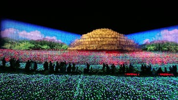 なばなの里に投稿された画像（2020/11/23）