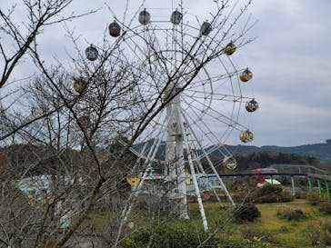 秋吉台自然動物公園 サファリランドに投稿された画像（2020/11/23）