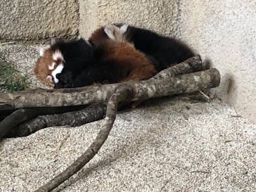 那須どうぶつ王国に投稿された画像（2020/11/23）