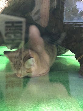 那須どうぶつ王国に投稿された画像（2020/11/23）