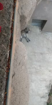 天王寺動物園に投稿された画像（2020/11/23）