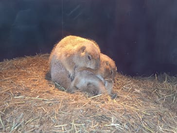 横浜・八景島シーパラダイスに投稿された画像（2020/11/23）