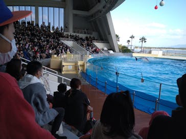 マリンワールド海の中道に投稿された画像（2020/11/23）