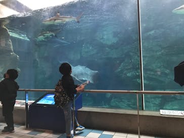 株式会社Gに投稿された画像（2020/11/23）