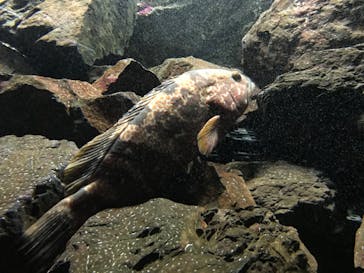 株式会社Gに投稿された画像（2020/11/23）