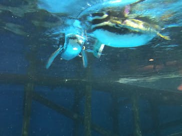 株式会社Gに投稿された画像（2020/11/23）