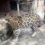 天王寺動物園に投稿された画像（2020/11/23）