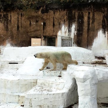 天王寺動物園に投稿された画像（2020/11/23）