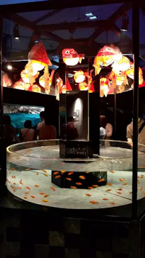 すみだ水族館に投稿された画像（2020/11/23）