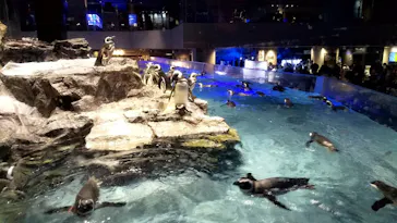 すみだ水族館に投稿された画像（2020/11/23）