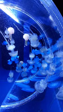 すみだ水族館に投稿された画像（2020/11/23）