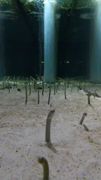 すみだ水族館に投稿された画像（2020/11/23）