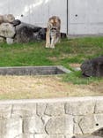 天王寺動物園に投稿された画像（2020/11/23）