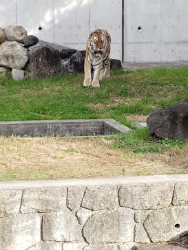 天王寺動物園に投稿された画像（2020/11/23）
