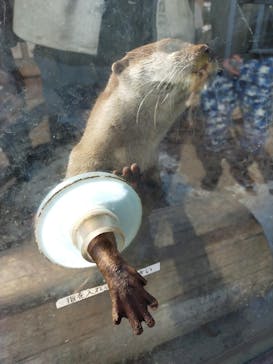 横浜・八景島シーパラダイスに投稿された画像（2020/11/23）