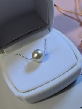 三重県真珠に投稿された画像（2020/11/23）