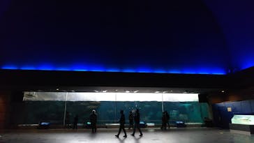 株式会社Gに投稿された画像（2020/11/23）