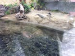 体感型動物園iZooに投稿された画像（2020/11/23）
