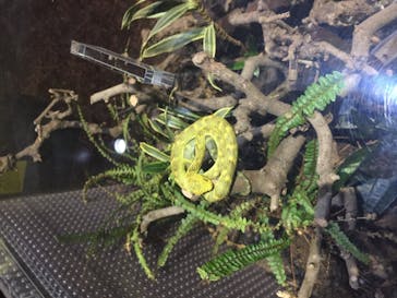 体感型動物園iZooに投稿された画像（2020/11/23）