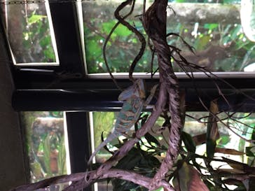 体感型動物園iZooに投稿された画像（2020/11/23）