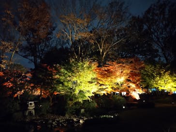 江戸東京たてもの園に投稿された画像（2020/11/23）