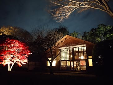 江戸東京たてもの園に投稿された画像（2020/11/23）