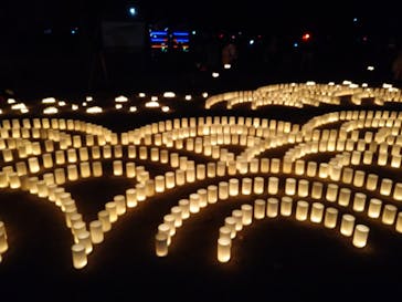 江戸東京たてもの園に投稿された画像（2020/11/23）