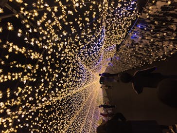 東京メガイルミに投稿された画像（2020/11/23）