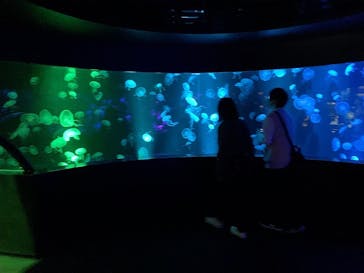 京都水族館に投稿された画像（2020/11/23）