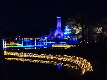 なばなの里に投稿された画像（2020/11/23）