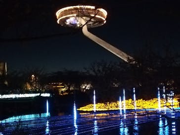 なばなの里に投稿された画像（2020/11/23）