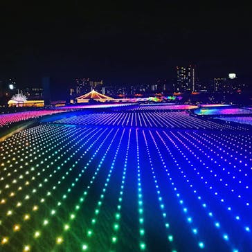 東京メガイルミに投稿された画像（2020/11/23）