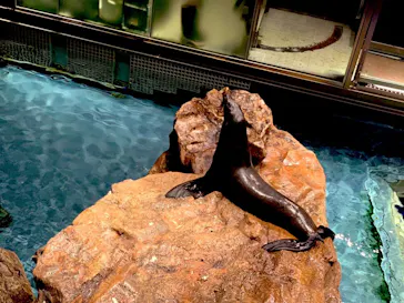 すみだ水族館に投稿された画像（2020/11/23）