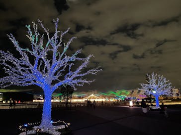 東京メガイルミに投稿された画像（2020/11/23）