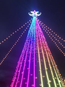 さがみ湖MORI MORIに投稿された画像（2020/11/23）