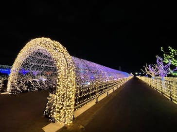 東京メガイルミに投稿された画像（2020/11/23）