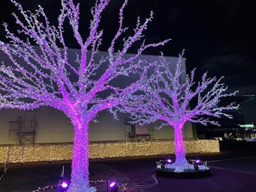 東京メガイルミに投稿された画像（2020/11/23）