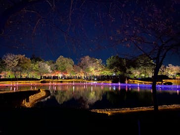 なばなの里に投稿された画像（2020/11/23）