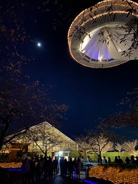 なばなの里に投稿された画像（2020/11/23）