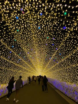 なばなの里に投稿された画像（2020/11/23）