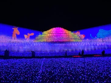 なばなの里に投稿された画像（2020/11/23）