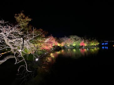 なばなの里に投稿された画像（2020/11/23）