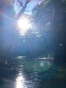 カヌーリゾートたまよどに投稿された画像（2020/11/23）