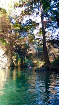 カヌーリゾートたまよどに投稿された画像（2020/11/23）