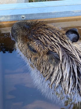 横浜・八景島シーパラダイスに投稿された画像（2020/11/23）