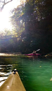 カヌーリゾートたまよどに投稿された画像（2020/11/23）