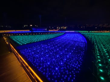 東京メガイルミに投稿された画像（2020/11/23）