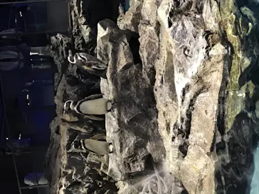 すみだ水族館に投稿された画像（2020/11/23）