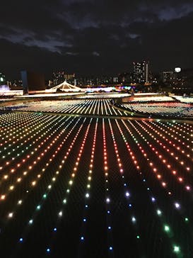 東京メガイルミに投稿された画像（2020/11/23）